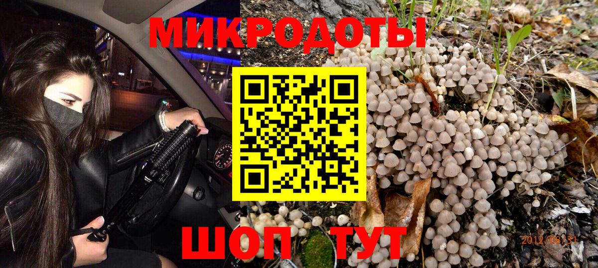 Галлюциногенные грибы Psilocybe Рыбинск