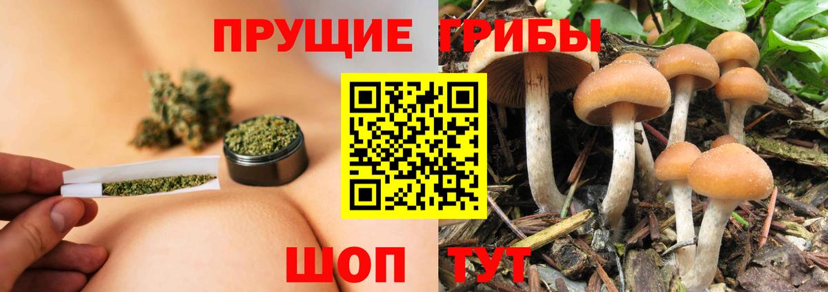 Рыбинск  Псилоцибиновые грибы Cubensis  где купить   Вход с VPN 